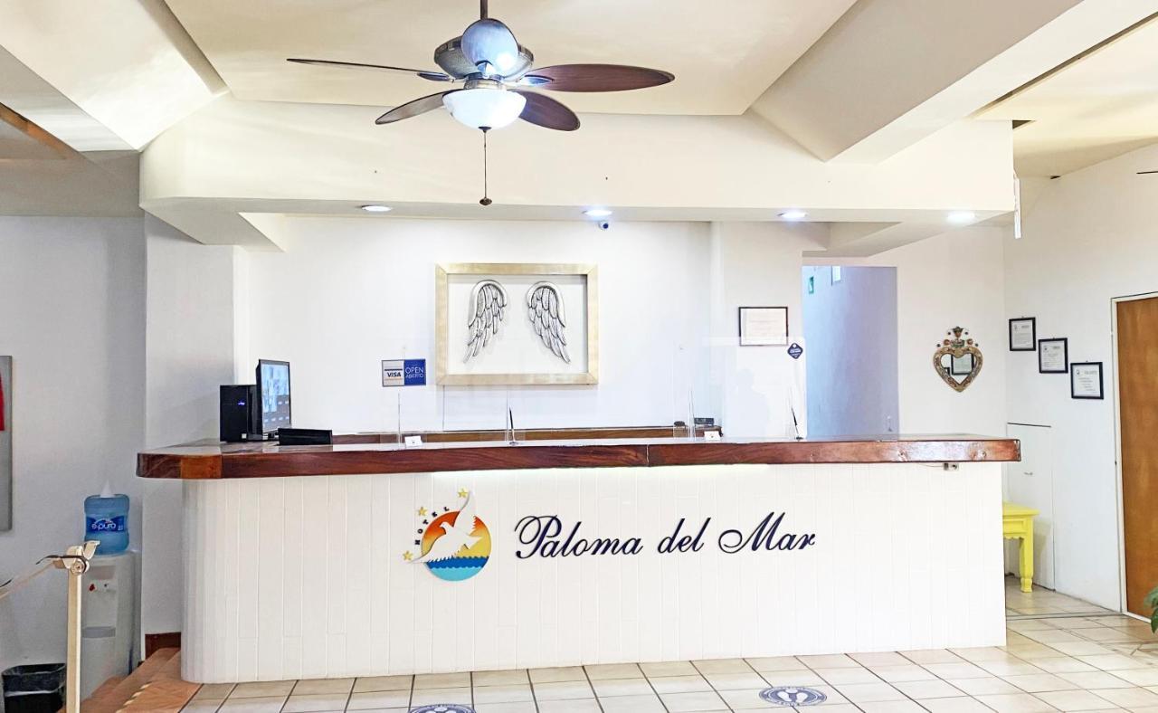 Paloma Del Mar (Adults Only) Hotel Puerto Vallarta Exterior photo